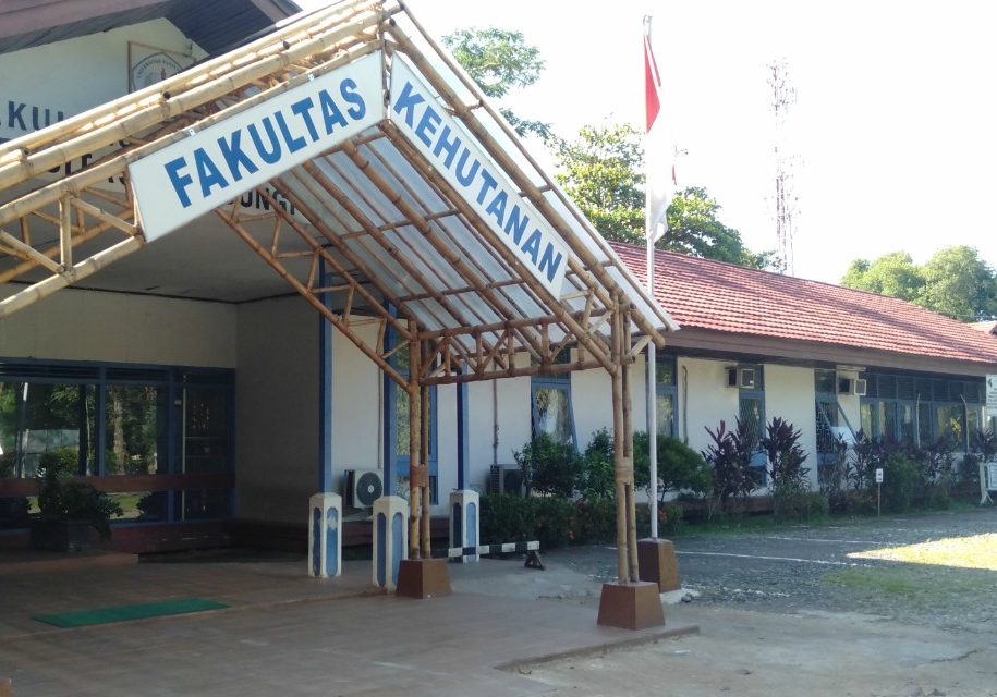 fakultas-kehutanan.jpeg